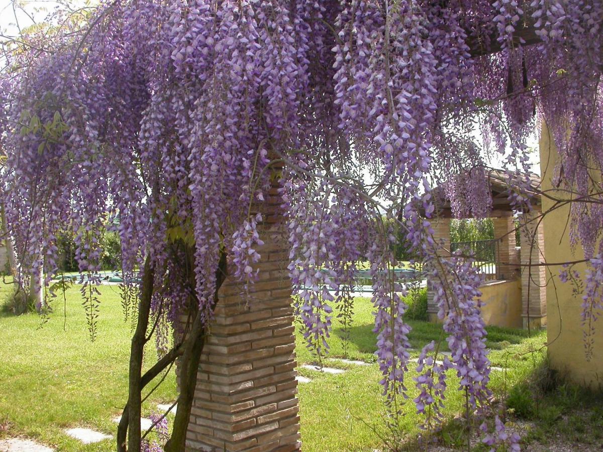 Casavacanze Sant'Eugenia Attigliano Exterior photo